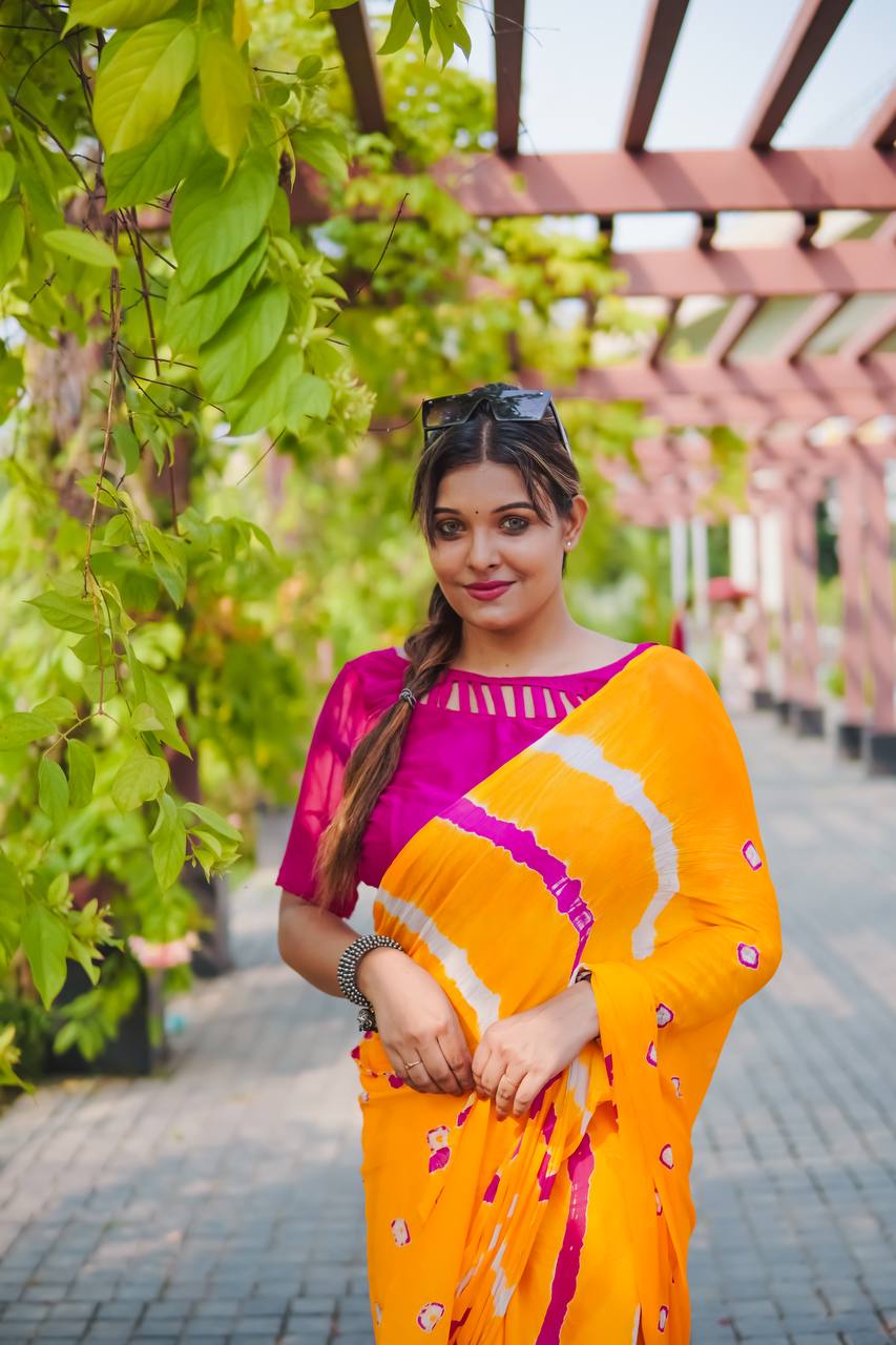 Traditional Lariya Pattern Saree in a Contemporary